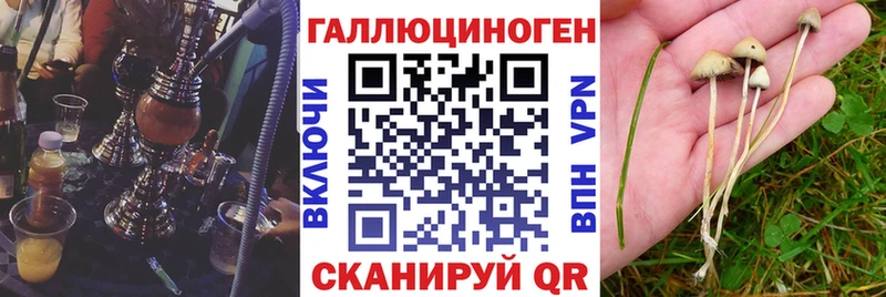 Псилоцибиновые грибы ЛСД  Купить где  Мыски 